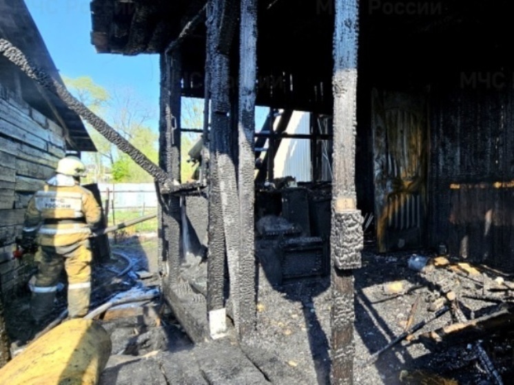 В Биробиджанском районе при пожаре пострадали животные