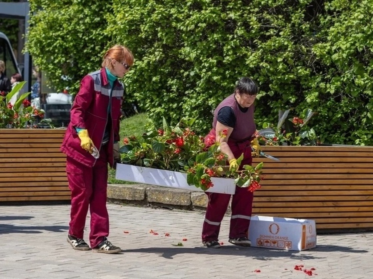 Озеленительные работы проходят в Смоленске