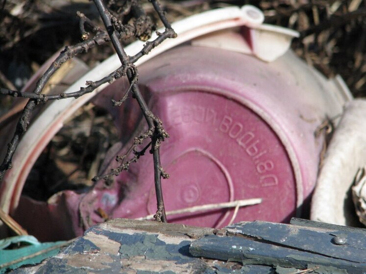 Прокурор Хакасии добился решения проблем с птицами на свалке около аэродрома