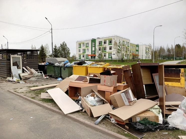 Родители в Петрозаводске водят малышей в садик, обходя стихийную свалку