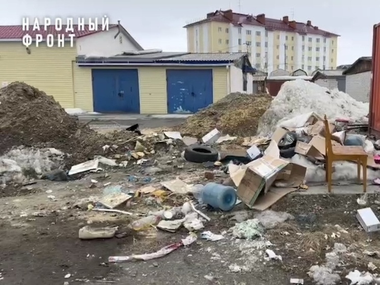 Огромные свалки нашли активисты у гаражей в Салехарде