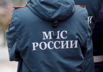 Выяснились детали ночного пожара на северо-востоке Москвы, в жилом доме, в результате которого пострадали 8 человек