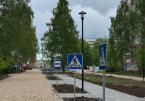 В йошкар-олинском микрорайоне Юбилейный для юных пешеходов создается специальная площадка «Автогородок».