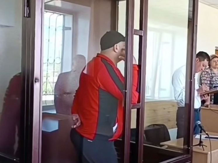 Уроженец Узбекистана сел за решетку на четыре года за незаконную вырубку красноярского леса