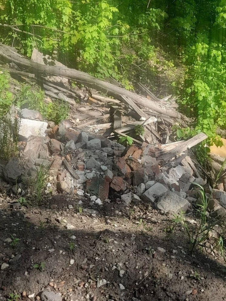 В Самаре сбросили отходы с грузовика на памятник природы «Древостой дуба»