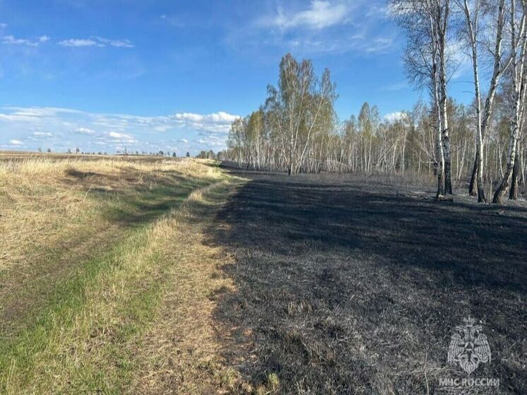 Виновников двух лесных пожаров установили в Тулунском районе