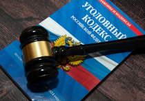 Несколько приговоров по резонансным уголовным делам, как ожидается, будут вынесены в четверг, 22 мая, в московских судах