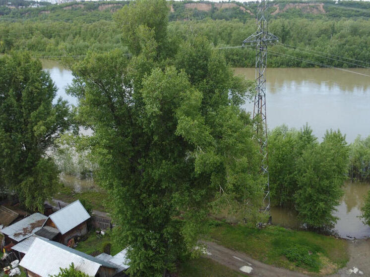 Затон может подтопить. В Алтайском крае прогнозируют рост воды в Оби