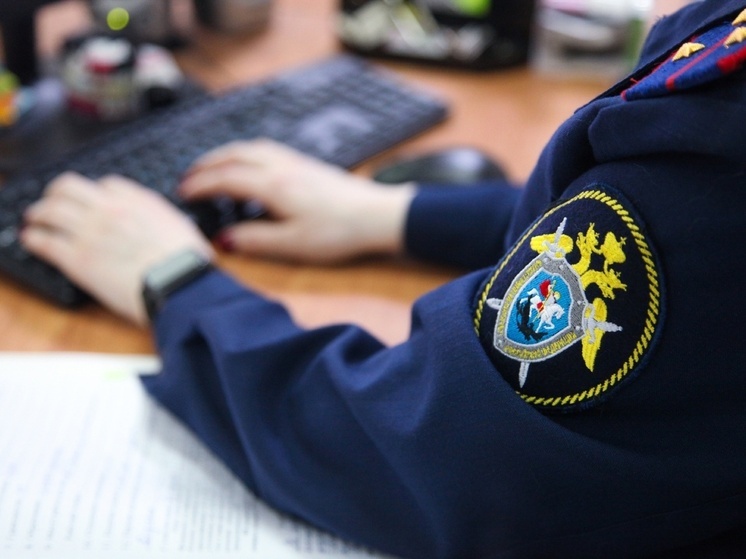 Два подростка в Тверской области готовили теракт перед Днем Победы: их задержала ФСБ