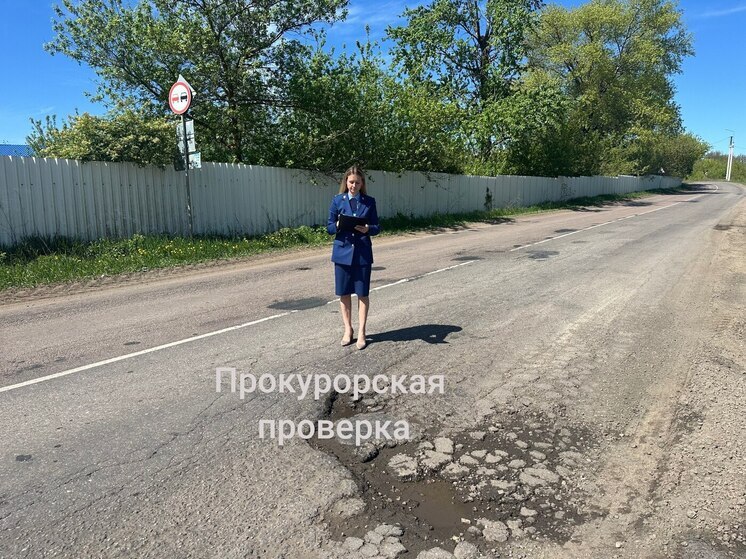 Глава «Тулаавтодора» получил представление за разбитые участки трассы М-4