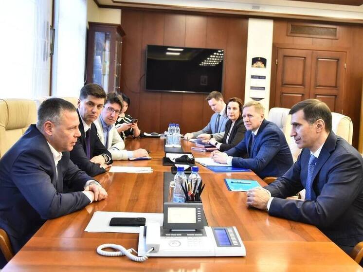 Михаил Евраев и Борис Эбзеев обсудили развитие электросетевого комплекса Ярославской области