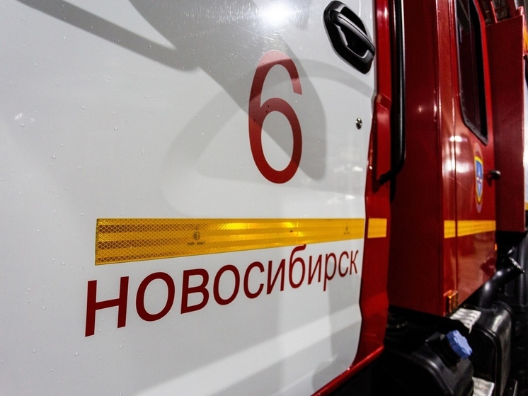 Пожарные тушат горящую квартиру в девятиэтажке на Шамшурина в Новосибирске