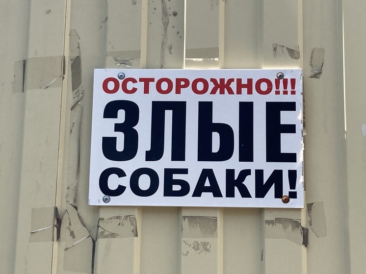 На станции Курдюм ввели карантин из-за случая бешенства