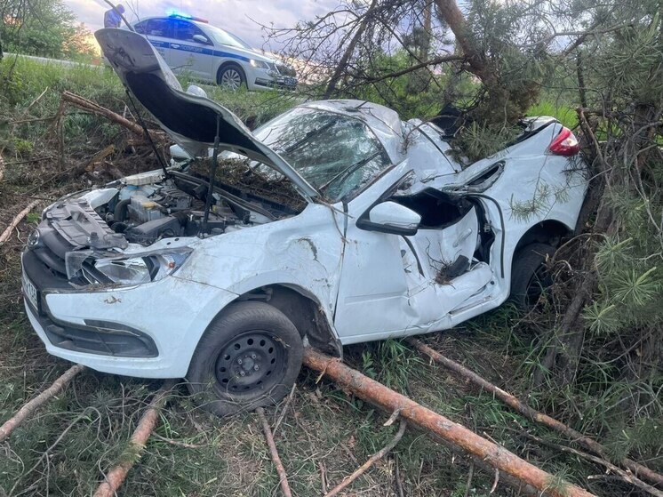 В Воронеже водитель «Лады» снес деревья и попал в больницу