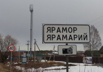 В Марий Эл продолжается работа по цифровизации государственных и муниципальных услуг.