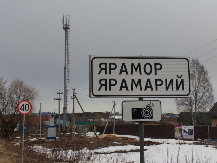 В Марий Эл ведется работа по цифровизации госуслуг