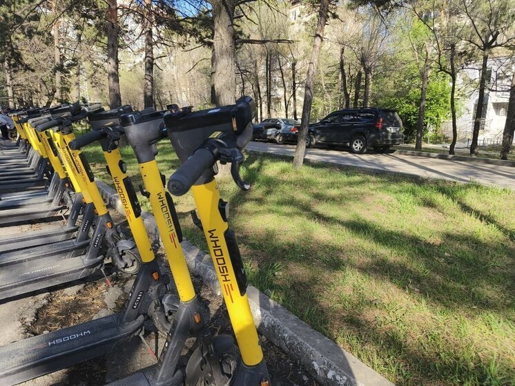 В Хабаровске провели профилактическую акцию с пешеходами