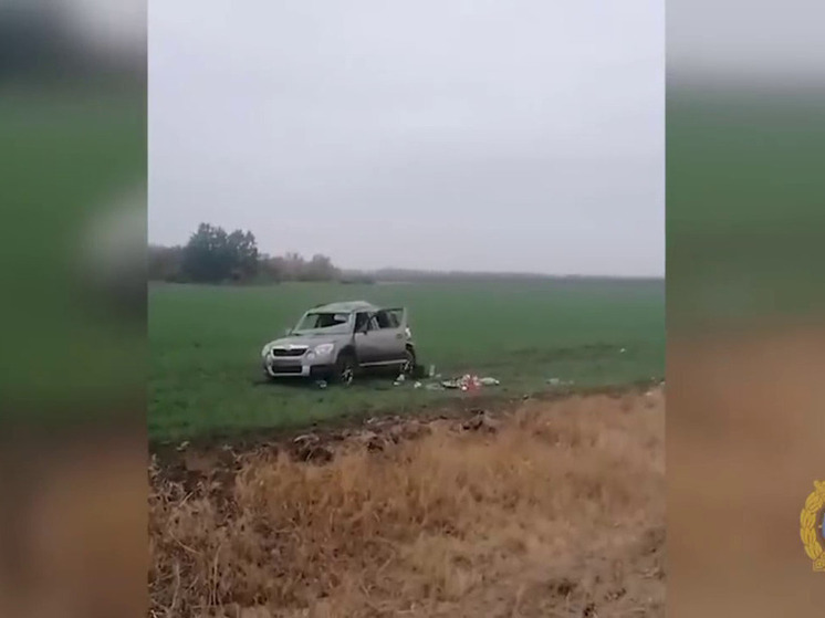 В Волгоградской области водителя-подростка осудили на 3 года за смертельное ДТП