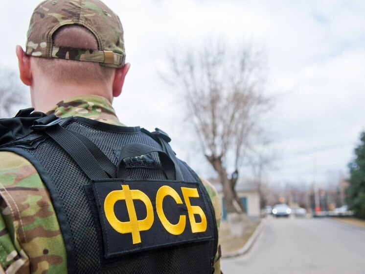 Молодого волгоградца задержали за оправдание теракта в Ингушетии