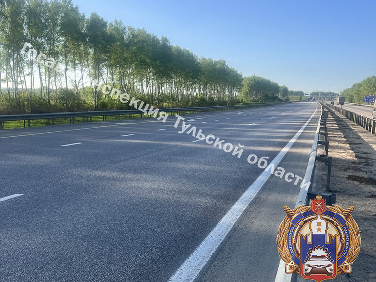 На трассе «М-4 Дон» под Тулой водитель фуры снес пешехода