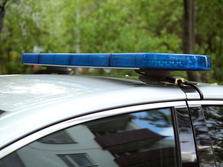 В Дубне задержали отца и сына за нападение на полицейского в ПВЗ