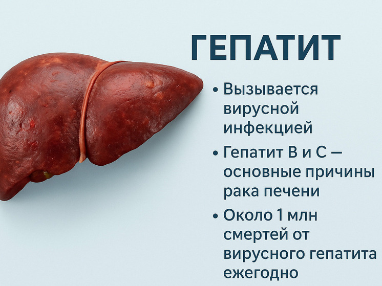 Мифы и факты о гепатите: где заканчиваются слухи и начинается наука