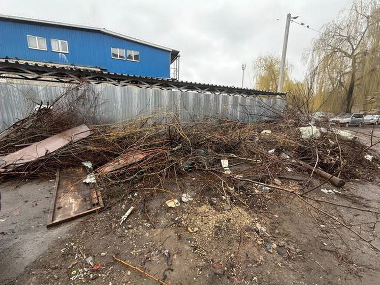 В Курске после жалобы ликвидировали свалку на Заводской улице