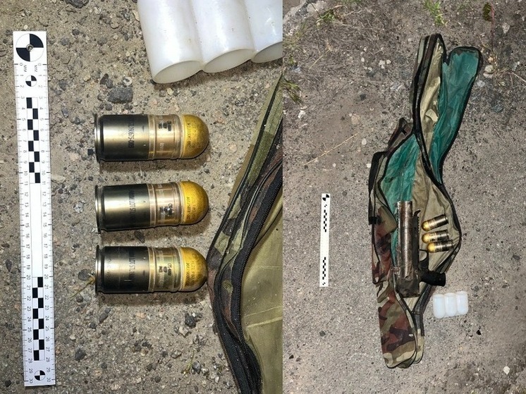 В Мелитопольском районе найдена сумка с оружием и боеприпасами