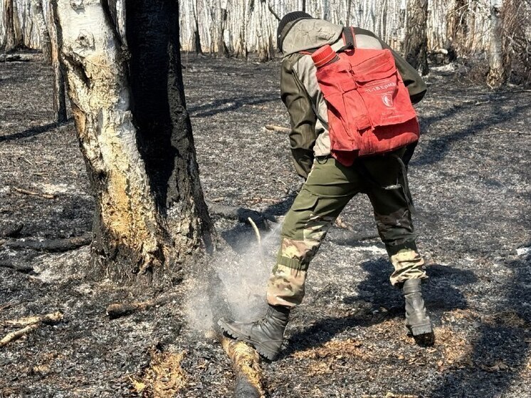 Добровольцев в Забайкалье бесплатно обучат тушению лесных пожаров