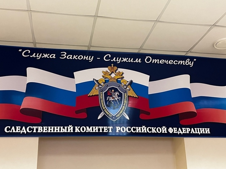 Жительница Липецкого района осуждена за попытку дачи взятки полицейским