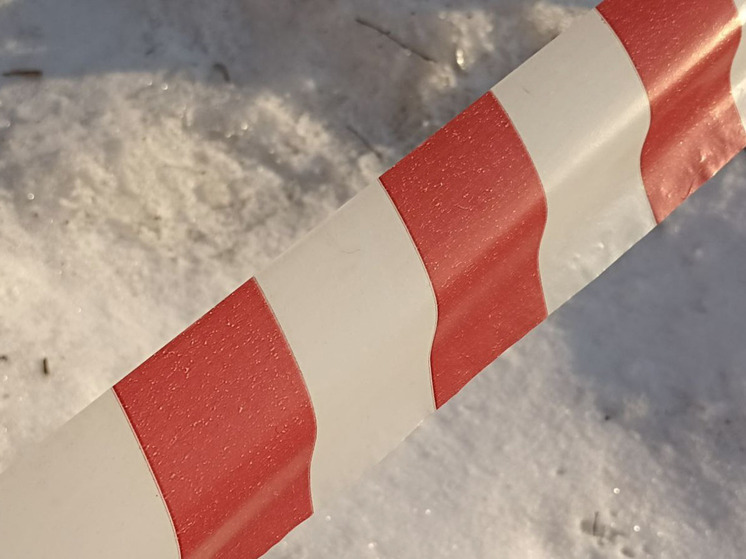 Добровольцы смогут помогать в охране границы в Кольском Заполярье