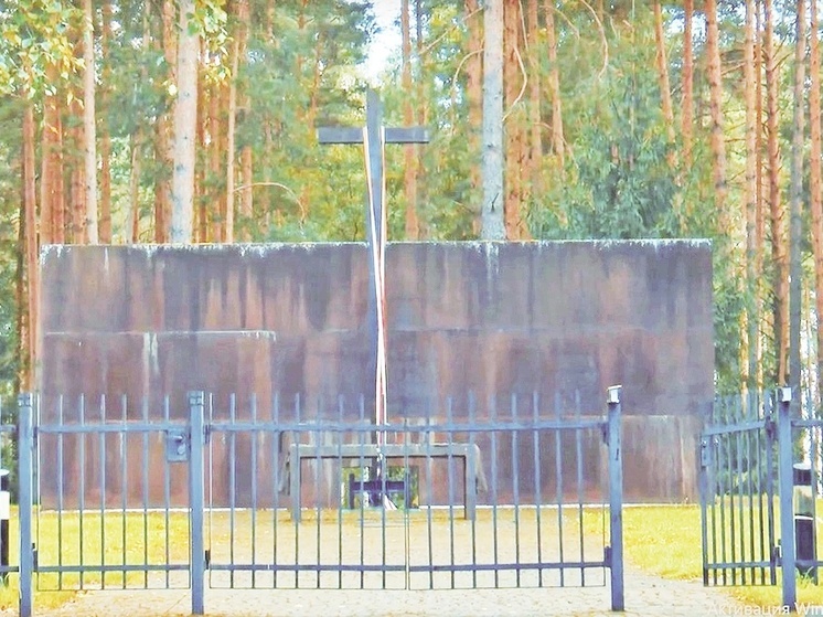 Польская пропаганда закатила истерику из-за демонтажа на Медновском мемориале
