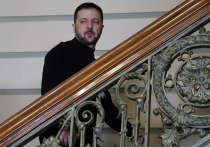 Беременность приводит к рождению ребенка