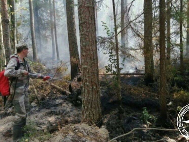 Два лесных пожара потушили в Башкирии