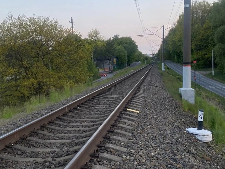 В Калининграде пьяный мужчина проигнорировал сигнал машиниста и попал под поезд
