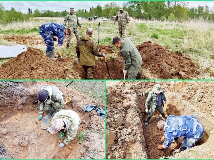 В Невельском районе нашли останки десяти красноармейцев
