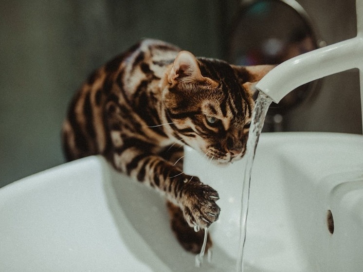 В двух районах воды произошло аварийное отключение горячей воды