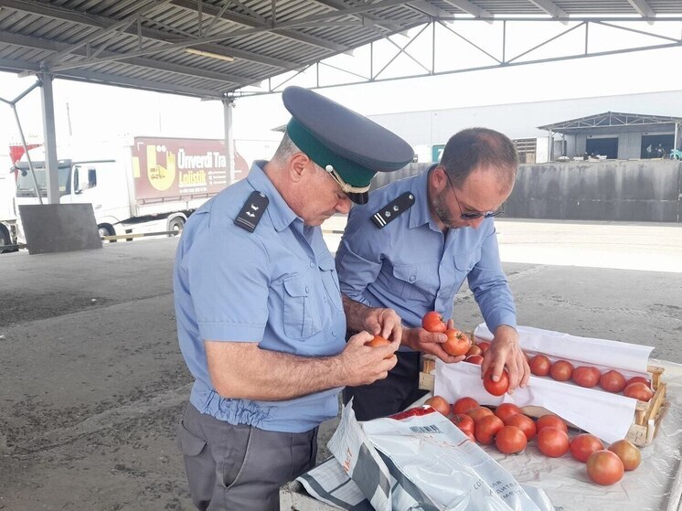 Россельхознадзор выявил в Дагестане подкарантинную продукцию при ввозе фруктов и овощей