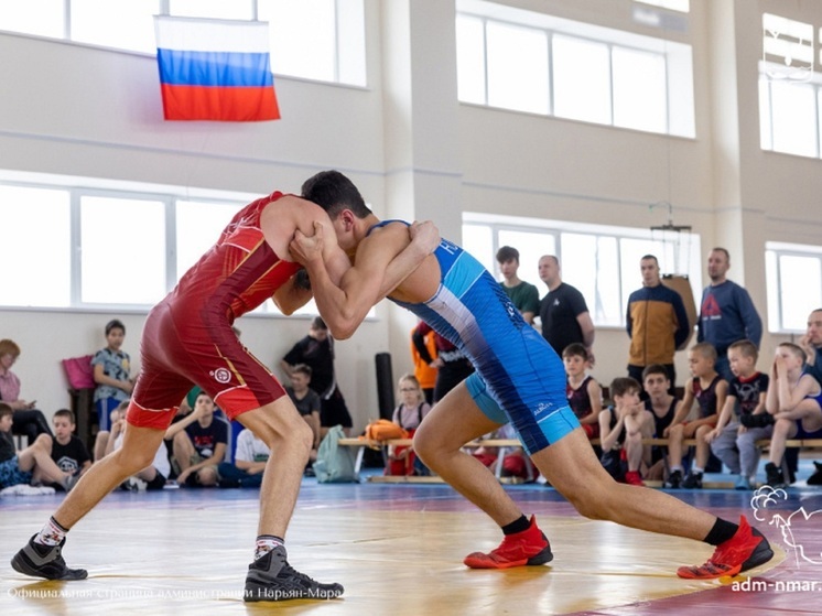 Федерация спортивной борьбы Нарьян-Мара получит 130 000 рублей