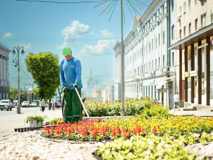 Цветочное оформление в Курске меняют с весеннего на летнее