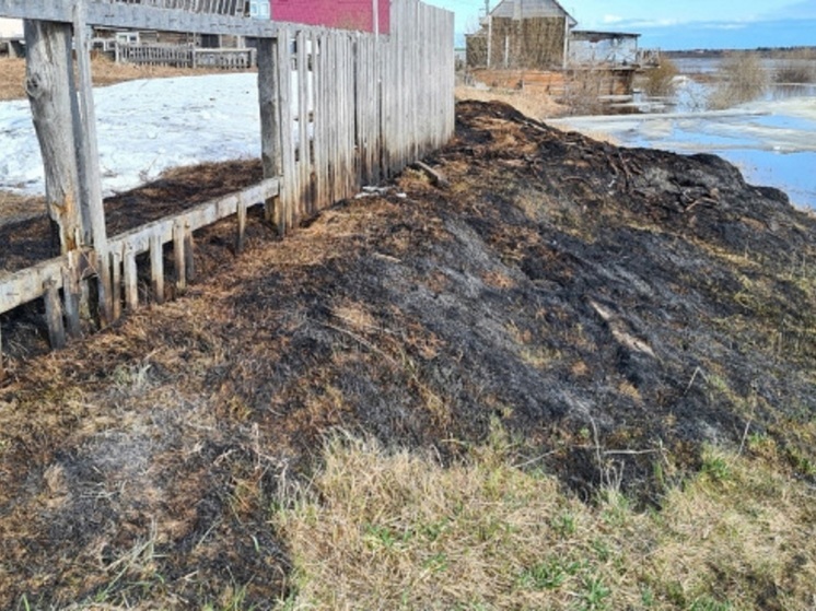 Глава Нарьян-Мара запретил выжигать сухую траву