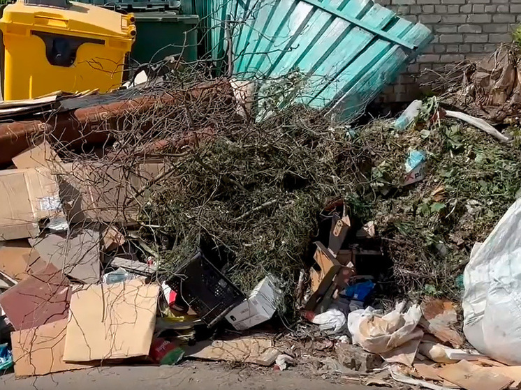 Ситуация с уборкой мусора в Тамбове требует вмешательства властей