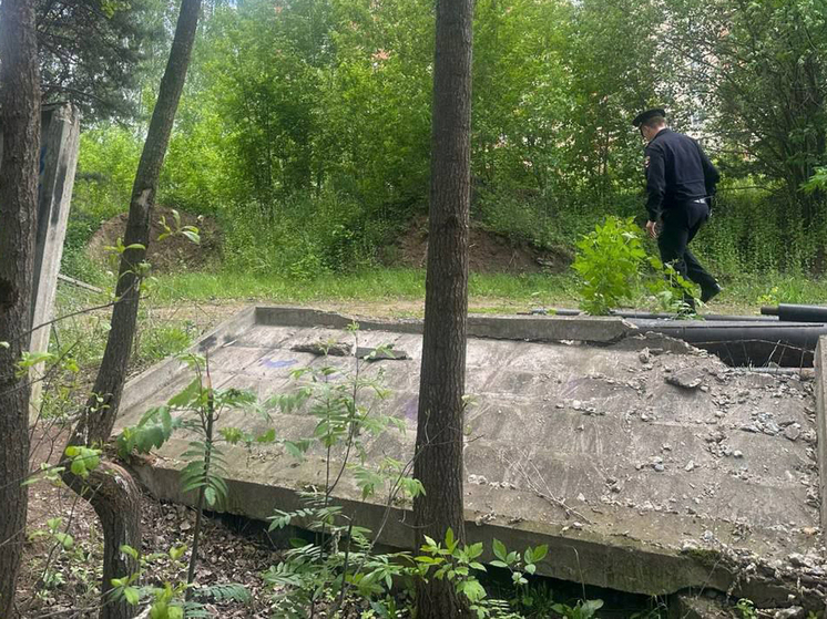 Выяснилось состояние здоровья двух школьников, на которых 21 мая упал бетонный забор в городском округе Балашиха