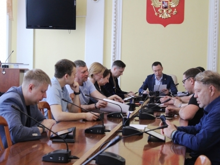 Депутаты гордумы обсудили изменения в Правила благоустройства Рязани