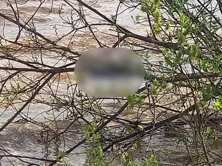 В Тверской области в водохранилище утонул человек