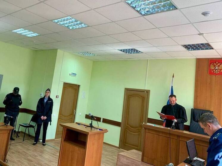 В Тамбовской области вынесли приговор человеку с косой