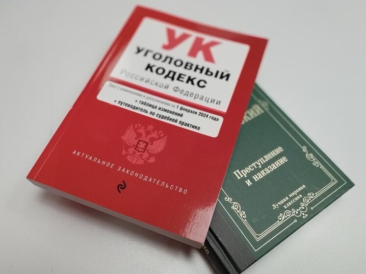 Двух бандитов осудили за похищение человека в Петергофе