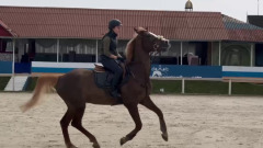 Запорожские спортсмены выступили на соревнованиях по конному спорту в Тверской области