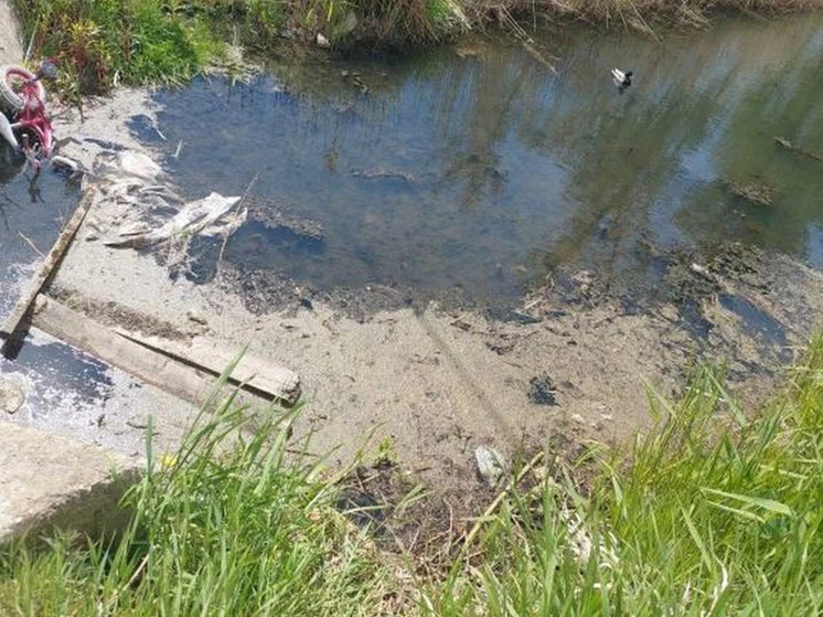 Прокуратура проверит факт загрязнения воды в реке Тростянке Зеленоградского района