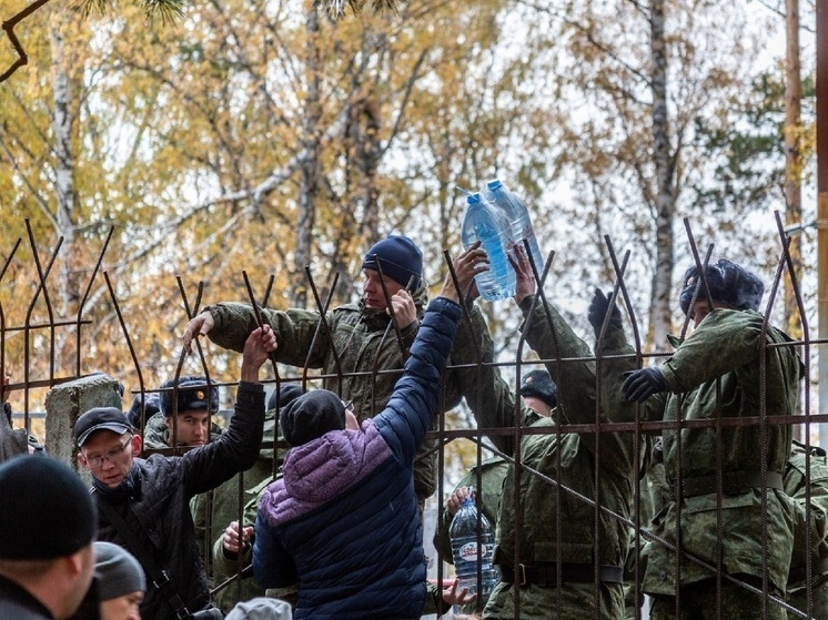 В Новосибирске опубликовали актуальные суммы выплат для контрактников СВО
